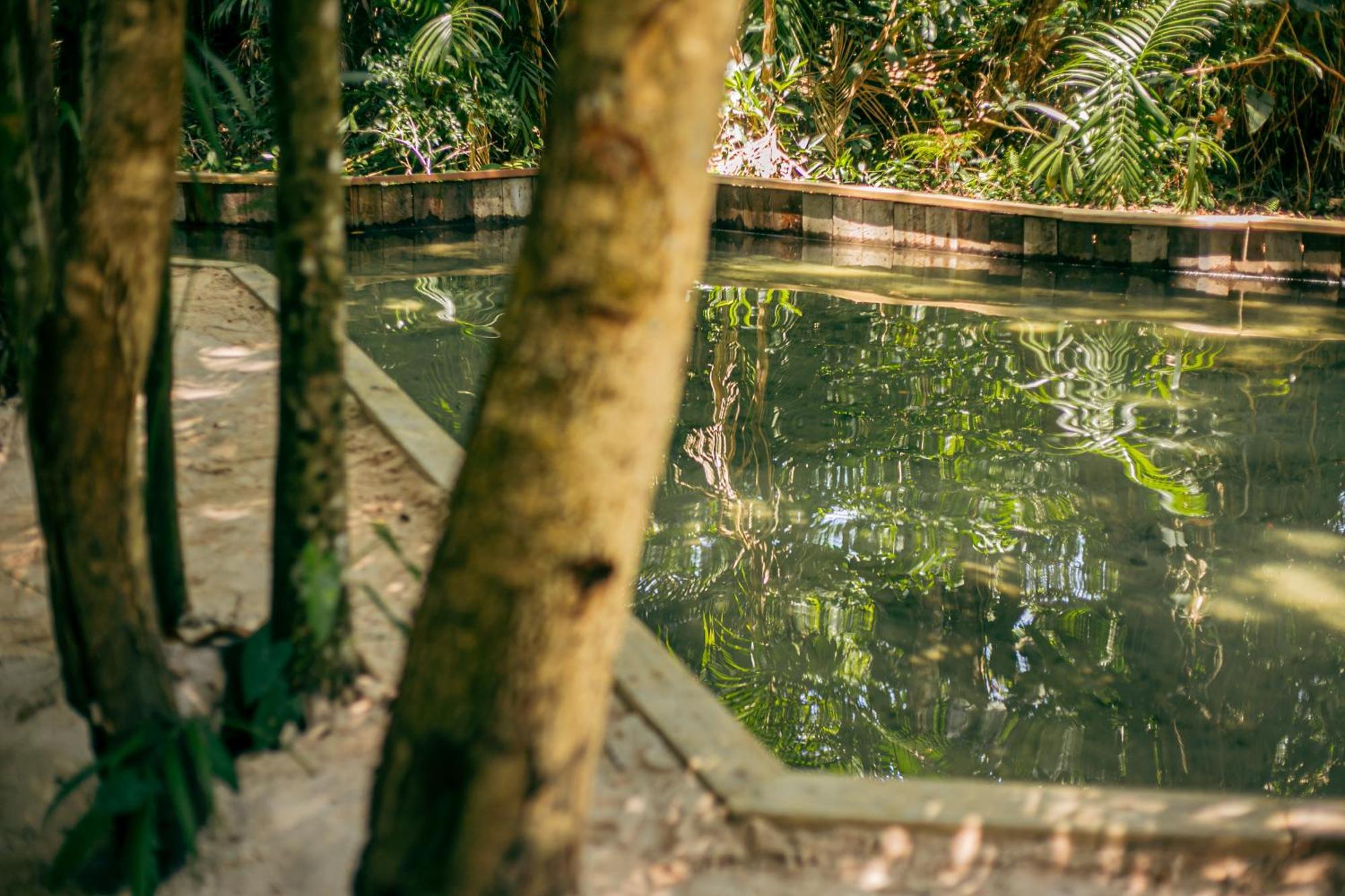 Pousada E Restaurante Amazonia Alter do Chão Esterno foto